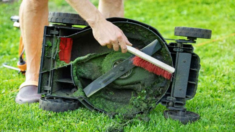 how to sharpen rotary lawn mower blades